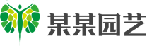 某某网络科技有限公司